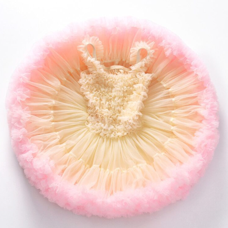 Princess Tutu Skirt for Kids